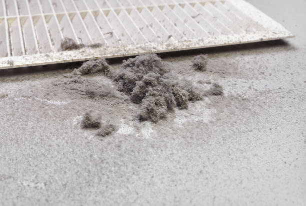 Best Duct Cleaning for Homes  in Hampton, IL
