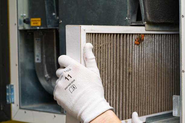 Best Ventilation Cleaning Services  in Hampton, IL
