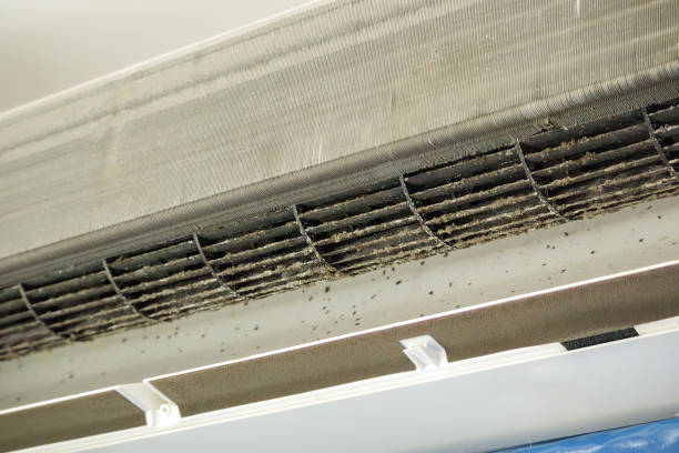 Best Commercial HVAC Duct Cleaning  in Hampton, IL
